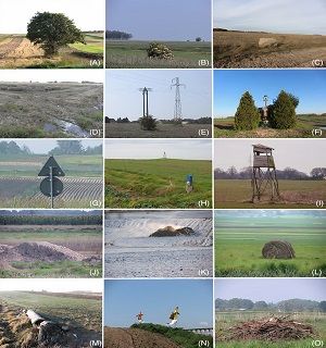 Small things are important: the value of singular point elements for birds in agricultural landscapes.