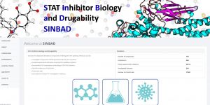 SINBAD: Database for human inflammation inhibitors (STAT protein) and their clinical potential