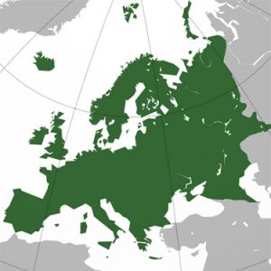 Creating, Enhancing and Transforming Territorial/Landscape Identity and Place Attachment