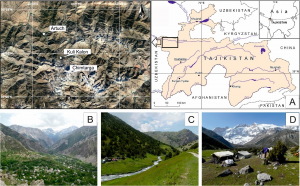 Link between high mountain society and ecosystem service of juniper forests in western parts of Pamir-Alay range (Tajikistan)