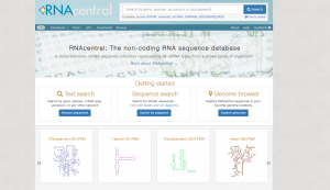 RNAcentral - portal poświęcony biologii niekodujących RNA