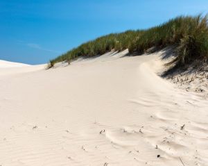 Aeolian Geomorphology in coastal areas